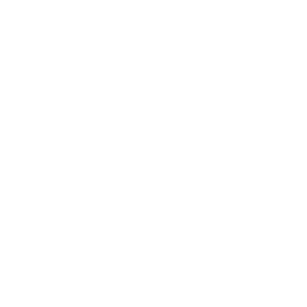 VPlace logo